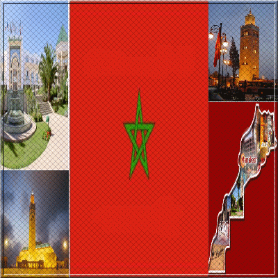 vive marocan
